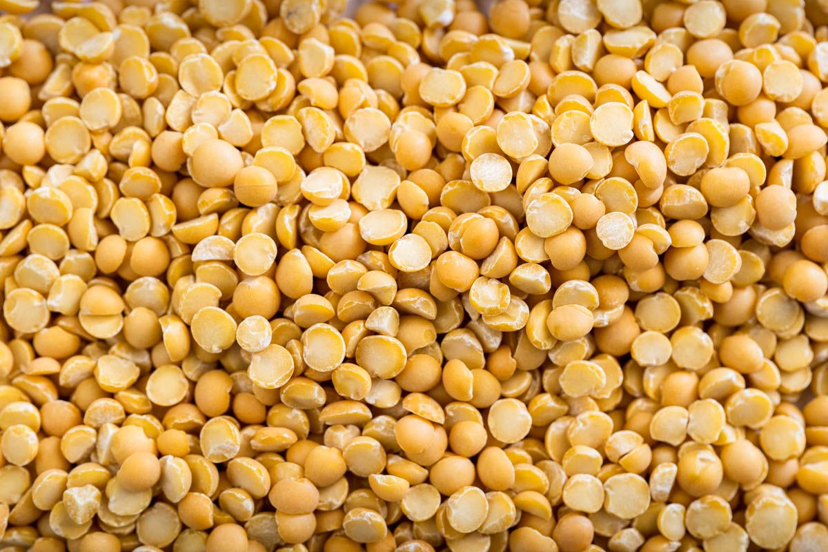 Yellow Split Peas Wholesale Buy in Bulk for Best Quality, Factory Price, Fresh Crop, and Reliable Global Export