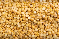 Yellow Split Peas Wholesale Buy in Bulk for Best Quality, Factory Price, Fresh Crop, and Reliable Global Export