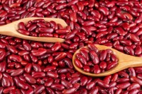 Hot Sale Red White Black Kidney Beans Wholesale Suppliers | Bulk Organic Pulses Exporter with Factory Price