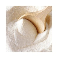 “Skimmed Milk Powder Wholesale Bulk Suppliers Premium Quality Factory Direct Price Dairy Products”