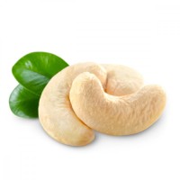 Wholesale Bulk Cashew Nuts Buy Bulk Online Raw Natural Cashews Premium Quality Factory Price Fresh Cashew Nuts
