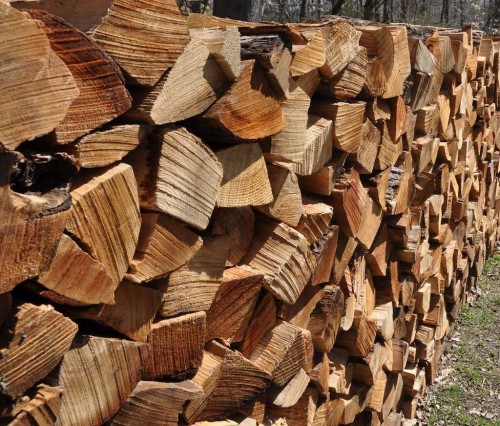 Buy Bulk Dried Oak Firewood Online Wholesale High Quality Hardwood Logs for Heating Fireplace BBQ Outdoor Use