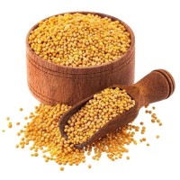 Factory Price Bulk Mustard Seeds Wholesale Yellow, Black & Brown Seeds for Spice Trade, Oil Extraction & Food Use