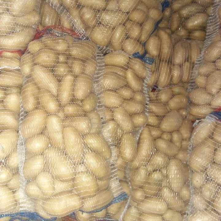 Organic Yellow Potatoes Premium Quality Fresh Farm Direct Bulk Wholesale Best Price Supplier