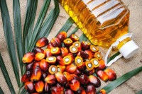 Wholesale Bulk Crude Palm Oil for Sale 100% Pure, Fresh, Factory Direct Price, Global Export and Online Ordering