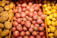 Fresh Russet Potatoes Wholesale Bulk Organic High Quality Factory Price Premium Grade Best Selling
