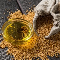Best Quality Mustard Oil Cold Pressed Factory Price Bulk Edible Cooking Oil Suppliers for Worldwide Export Trade