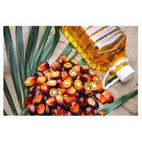 Best Quality RBD Palm Olein CP6 CP8 CP10 Bulk Wholesale Cooking Oil Factory Price with Global Export Service