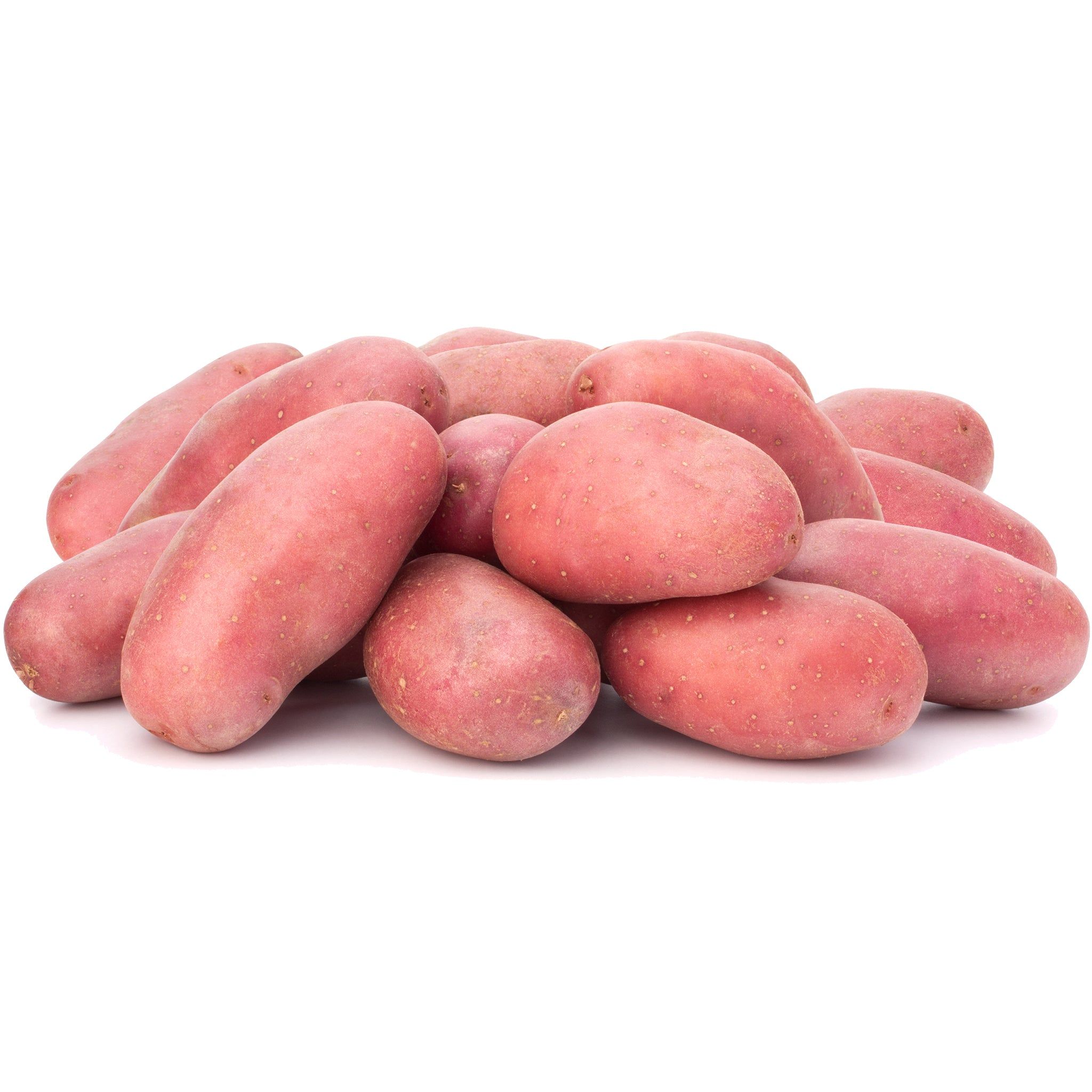 "Premium Red Potatoes Wholesale Suppliers Fresh, Natural Farm Produce High Quality Bulk Supply Worldwide"