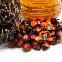 Buy Bulk RBD Palm Olein CP6 CP8 CP10 Online Wholesale Cooking Oil Supplier, Factory Price, Best Quality Export