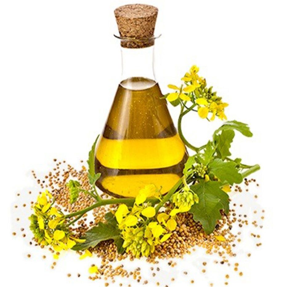 Best Quality Mustard Oil Cold Pressed Factory Price Bulk Edible Cooking Oil Suppliers for Worldwide Export Trade