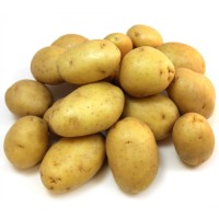 Fresh Yukon Gold Potatoes Premium Grade Wholesale Bulk Supply Best Quality Direct From Farm Factory Price