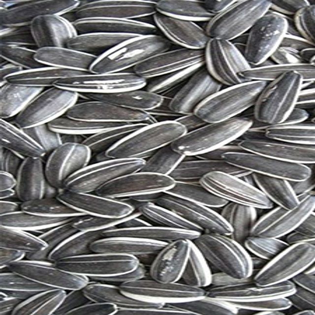 Wholesale Bulk Sunflower Seeds, Natural Raw Sunflower Kernels for Oil Extraction and Food, Buy Online Factory Direct