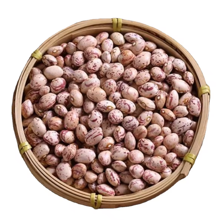High Quality Pinto Beans Wholesale Suppliers | Bulk Factory Price Dry Pinto Beans for Export & Global Buyers