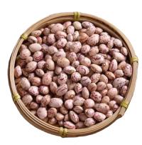 High Quality Pinto Beans Wholesale Suppliers | Bulk Factory Price Dry Pinto Beans for Export & Global Buyers