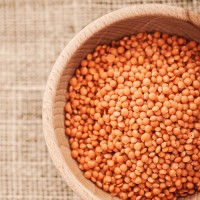 Red Lentils Wholesale Supplier Bulk Red Lentils Premium Quality Raw Whole Red Lentils Factory Price Best Deal