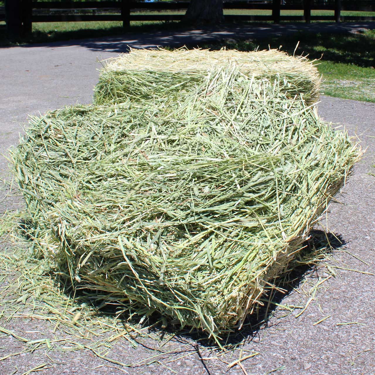 "Wholesale Alfalfa Hay Premium Quality Bulk Feed Supplier Factory Price Best for Cattle Horses Rabbits"