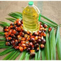 Wholesale RBD Palm Olein CP6 CP8 CP10 Bulk Cooking Oil for Export, Factory Price, Best Quality, Reliable Supplier