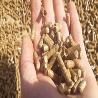High Quality Biomass Wood Pellet for Industrial and Home Heating, Wholesale Bulk Supply from Reliable Suppliers