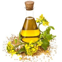 Wholesale Pure Mustard Oil Cold Pressed Factory Price Cooking Oil Bulk Suppliers for Export Worldwide Delivery